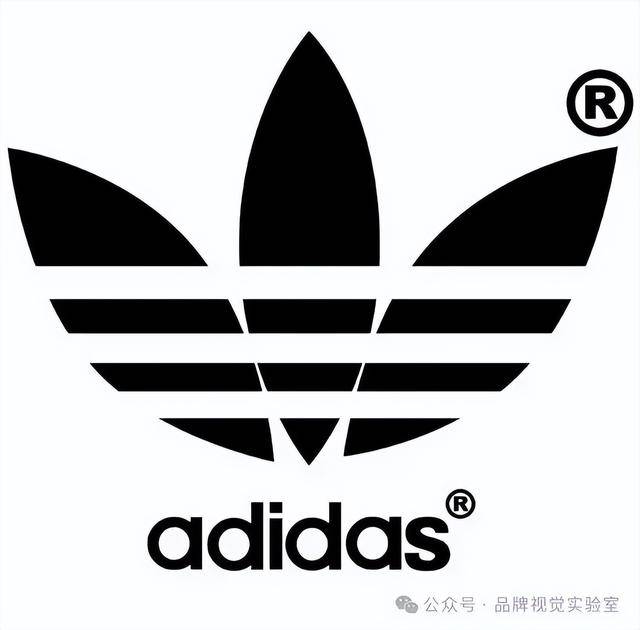 球十大运动品牌盘点下！千亿网站屹立不倒的全(图6)